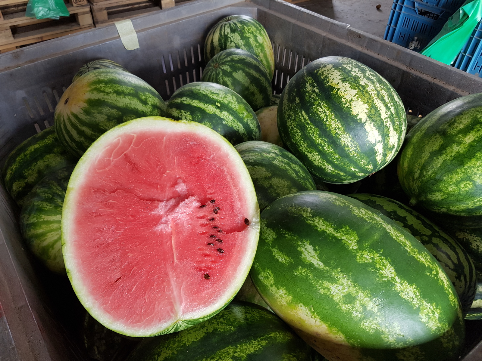 20170711_121340[1].jpg