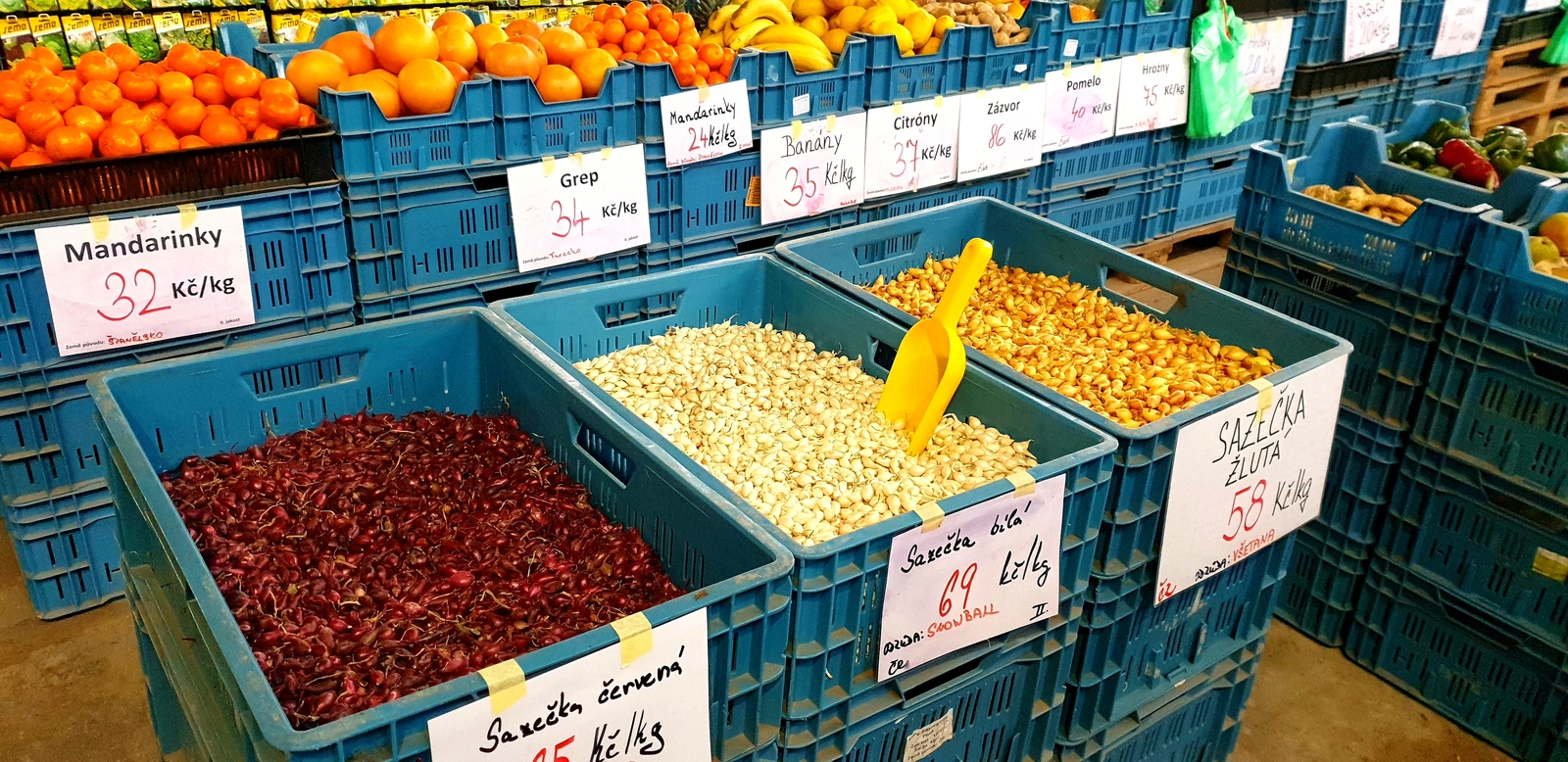 20190211_173953[1].jpg
